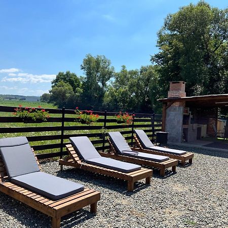 Casa Cu Flori Maramures 바이아마레 외부 사진
