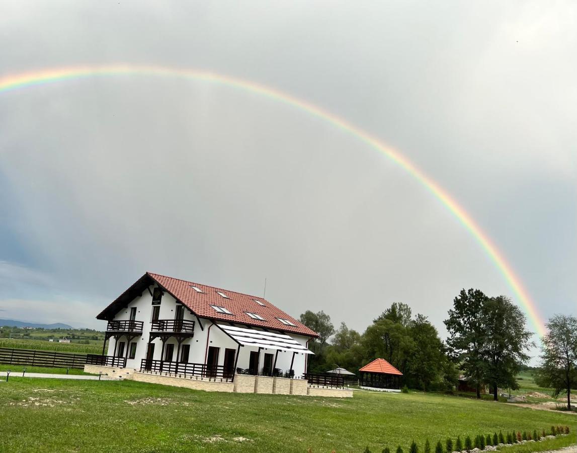 Casa Cu Flori Maramures 바이아마레 외부 사진