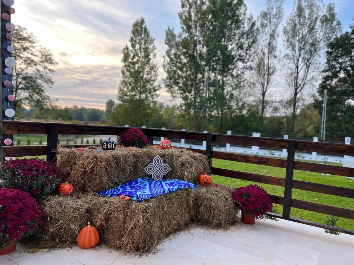 Casa Cu Flori Maramures 바이아마레 외부 사진